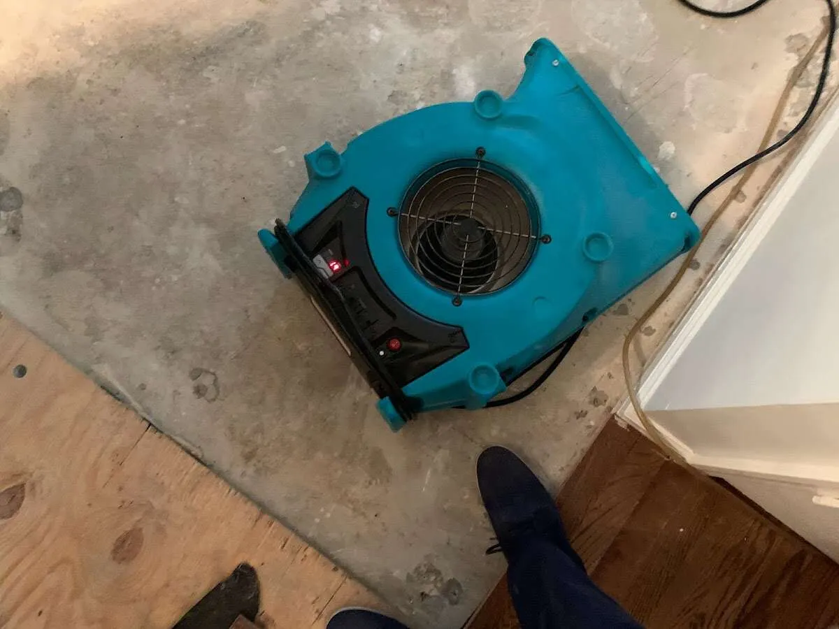 Air mover drying subfloor during Leak Detection & Repair in Bothell